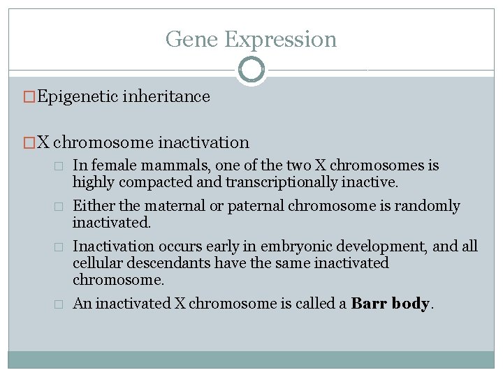 Gene Expression �Epigenetic inheritance �X chromosome inactivation � In female mammals, one of the