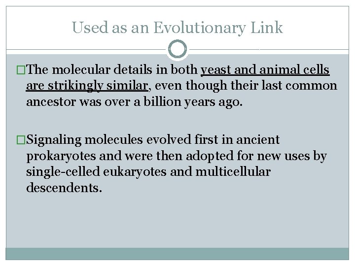 Used as an Evolutionary Link �The molecular details in both yeast and animal cells