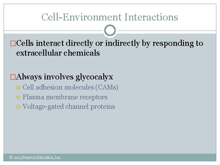 Cell-Environment Interactions �Cells interact directly or indirectly by responding to extracellular chemicals �Always involves
