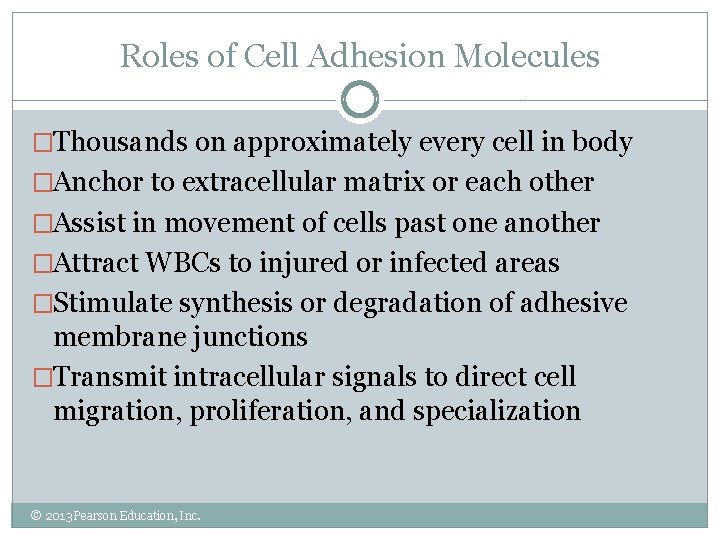 Roles of Cell Adhesion Molecules �Thousands on approximately every cell in body �Anchor to