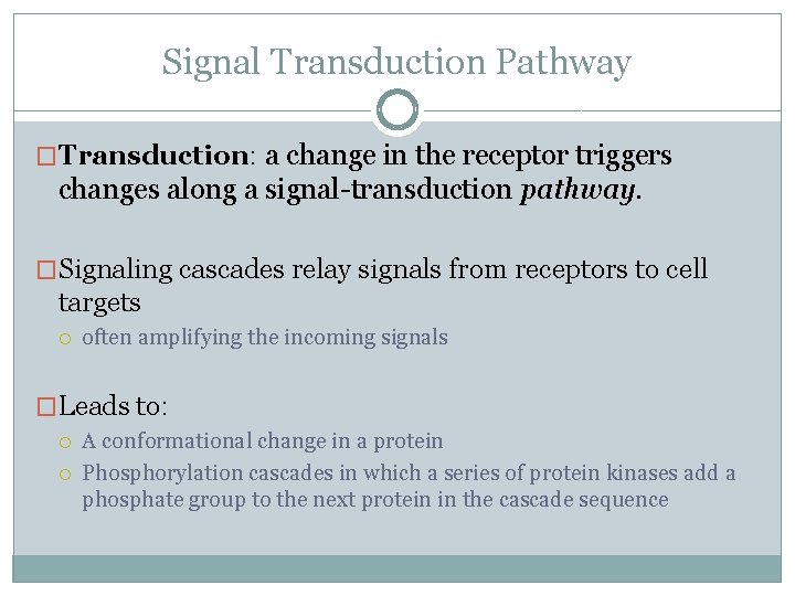 Signal Transduction Pathway �Transduction: a change in the receptor triggers changes along a signal-transduction