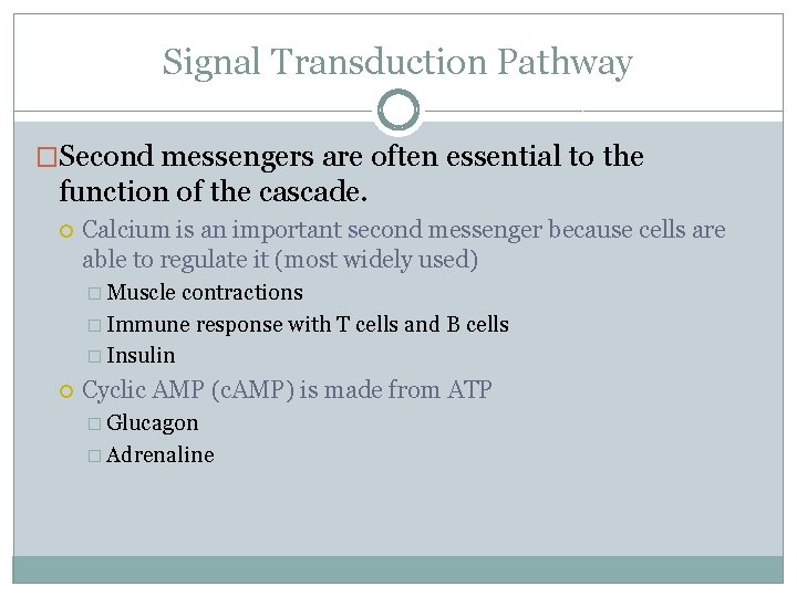 Signal Transduction Pathway �Second messengers are often essential to the function of the cascade.