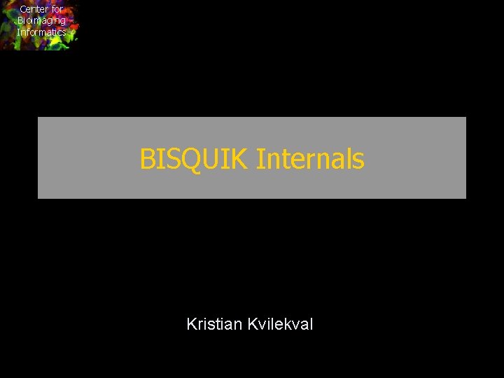Center for Bioimaging Informatics BISQUIK Internals Kristian Kvilekval 