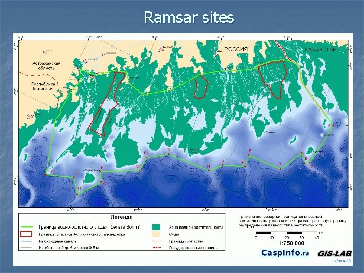 Ramsar sites 