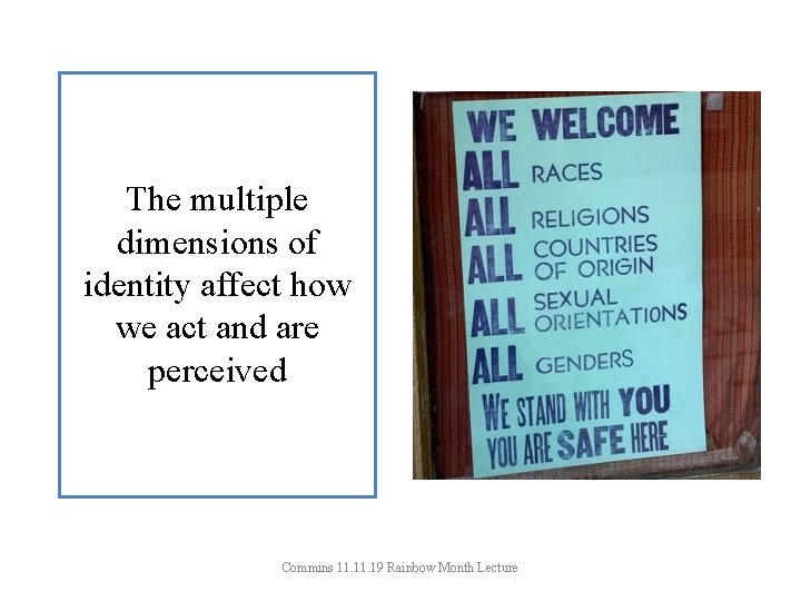 The multiple dimensions of identity affect how we act and are perceived Commins 11.