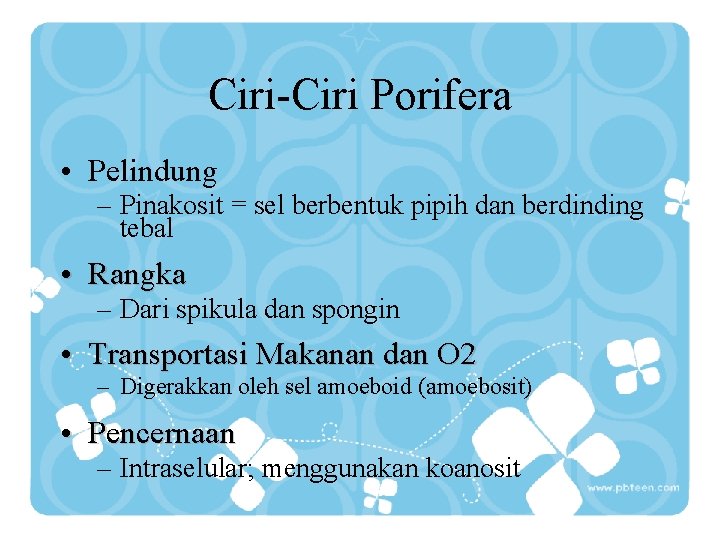 Ciri-Ciri Porifera • Pelindung – Pinakosit = sel berbentuk pipih dan berdinding tebal •