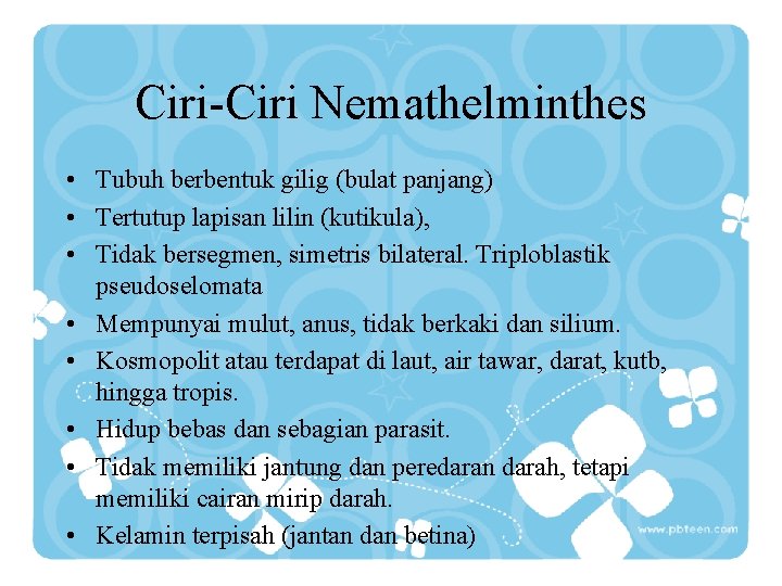 Ciri-Ciri Nemathelminthes • Tubuh berbentuk gilig (bulat panjang) • Tertutup lapisan lilin (kutikula), •