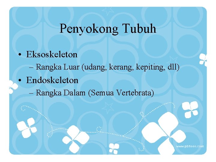 Penyokong Tubuh • Eksoskeleton – Rangka Luar (udang, kerang, kepiting, dll) • Endoskeleton –