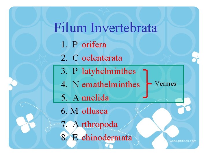 Filum Invertebrata 1. P orifera 2. C oelenterata 3. P latyhelminthes 4. N emathelminthes