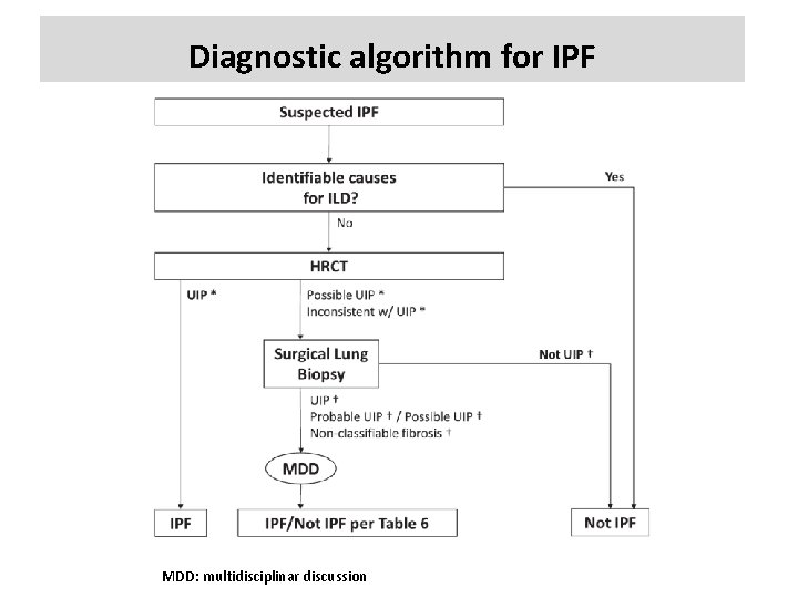 Diagnostic algorithm for IPF MDD: multidisciplinar discussion 