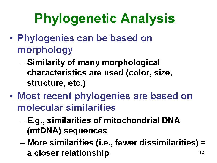 Phylogenetic Analysis • Phylogenies can be based on morphology – Similarity of many morphological