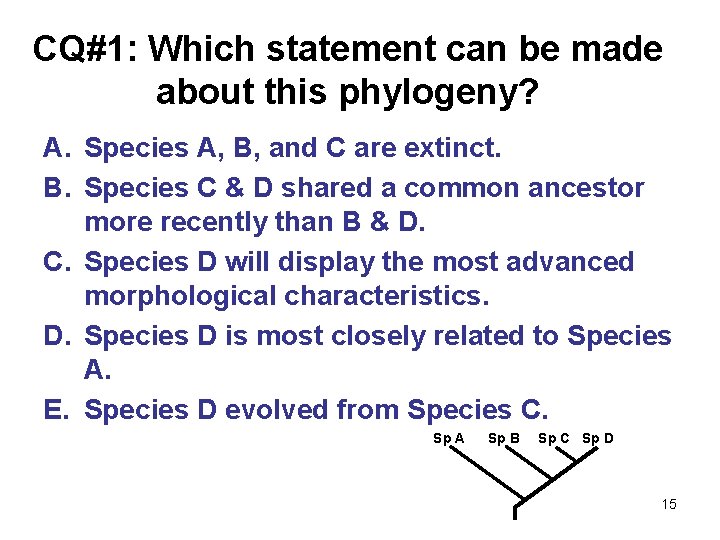 CQ#1: Which statement can be made about this phylogeny? A. Species A, B, and