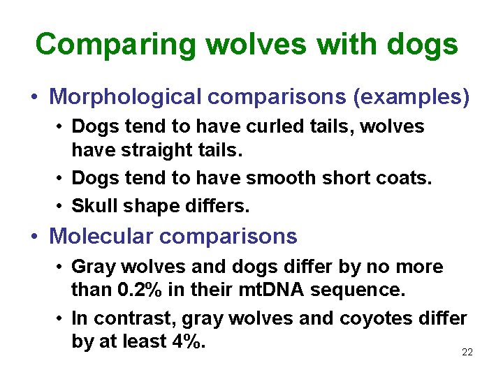 Comparing wolves with dogs • Morphological comparisons (examples) • Dogs tend to have curled