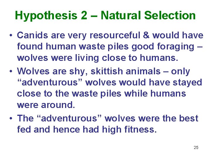 Hypothesis 2 – Natural Selection • Canids are very resourceful & would have found