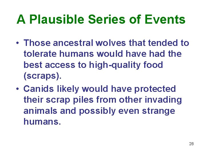 A Plausible Series of Events • Those ancestral wolves that tended to tolerate humans