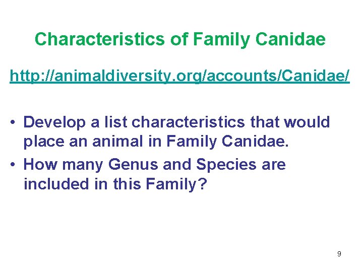 Characteristics of Family Canidae http: //animaldiversity. org/accounts/Canidae/ • Develop a list characteristics that would