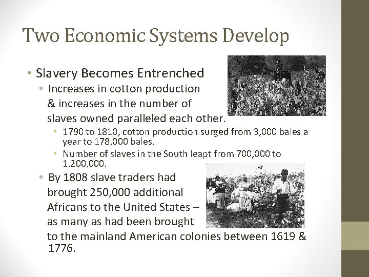 Two Economic Systems Develop • Slavery Becomes Entrenched • Increases in cotton production &
