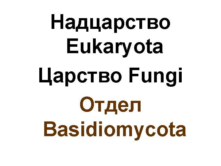 Надцарство Eukaryota Царство Fungi Отдел Basidiomycota 