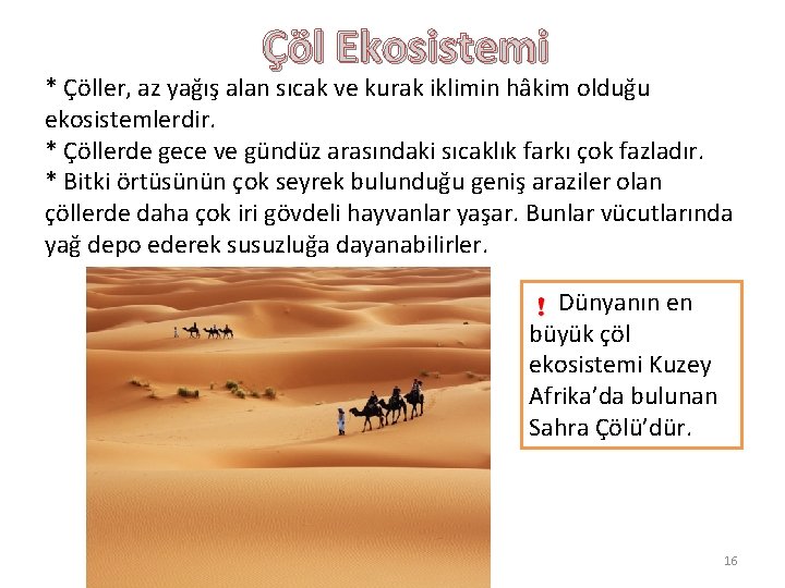 Çöl Ekosistemi * Çöller, az yağış alan sıcak ve kurak iklimin hâkim olduğu ekosistemlerdir.