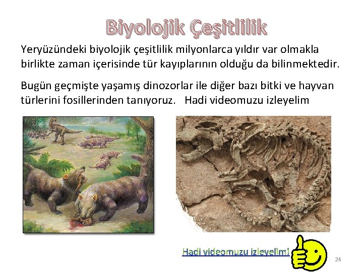 Biyolojik Çeşitlilik Yeryüzündeki biyolojik çeşitlilik milyonlarca yıldır var olmakla birlikte zaman içerisinde tür kayıplarının