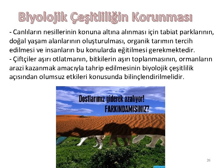 Biyolojik Çeşitliliğin Korunması - Canlıların nesillerinin konuna altına alınması için tabiat parklarının, doğal yaşam