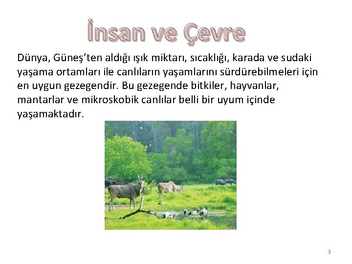 İnsan ve Çevre Dünya, Güneş’ten aldığı ışık miktarı, sıcaklığı, karada ve sudaki yaşama ortamları