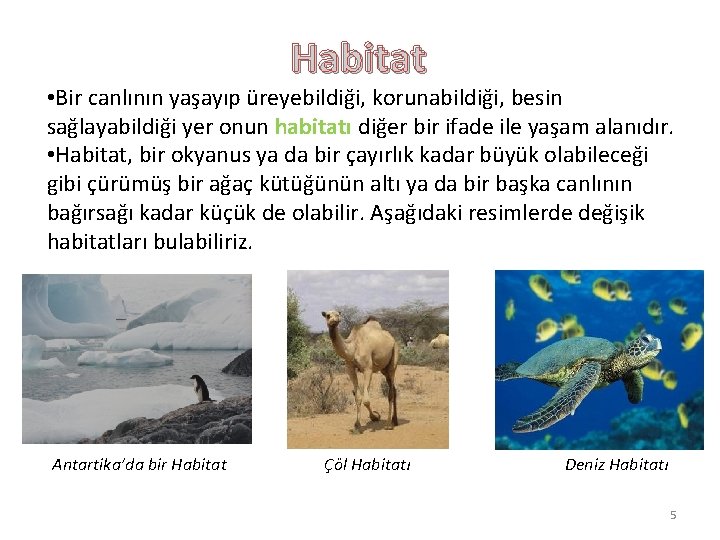 Habitat • Bir canlının yaşayıp üreyebildiği, korunabildiği, besin sağlayabildiği yer onun habitatı diğer bir