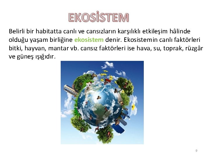 EKOSİSTEM Belirli bir habitatta canlı ve cansızların karşılıklı etkileşim hâlinde olduğu yaşam birliğine ekosistem