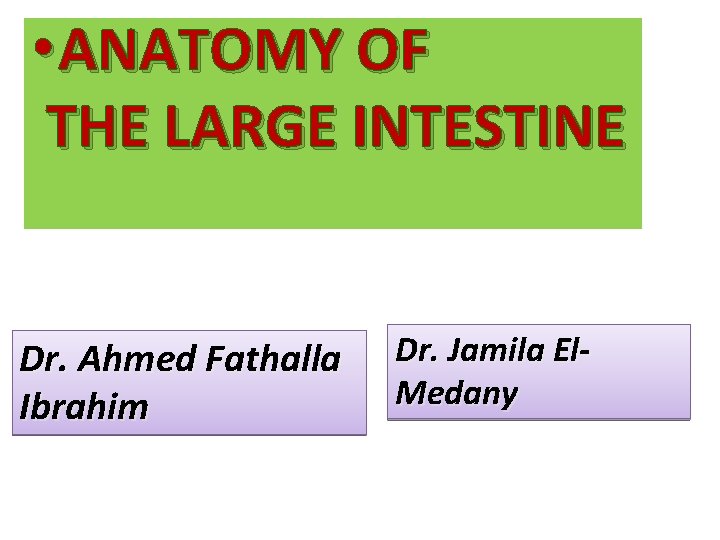  • ANATOMY OF THE LARGE INTESTINE Dr. Ahmed Fathalla Ibrahim Dr. Jamila El.
