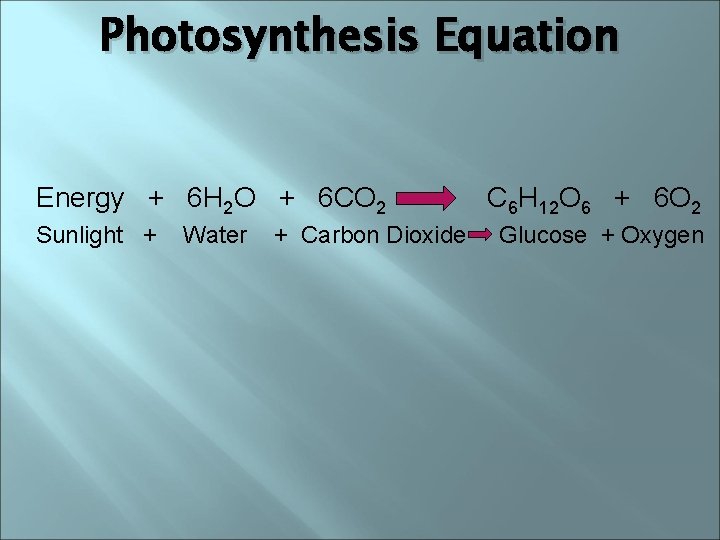 Photosynthesis Equation Energy + 6 H 2 O + 6 CO 2 Sunlight +