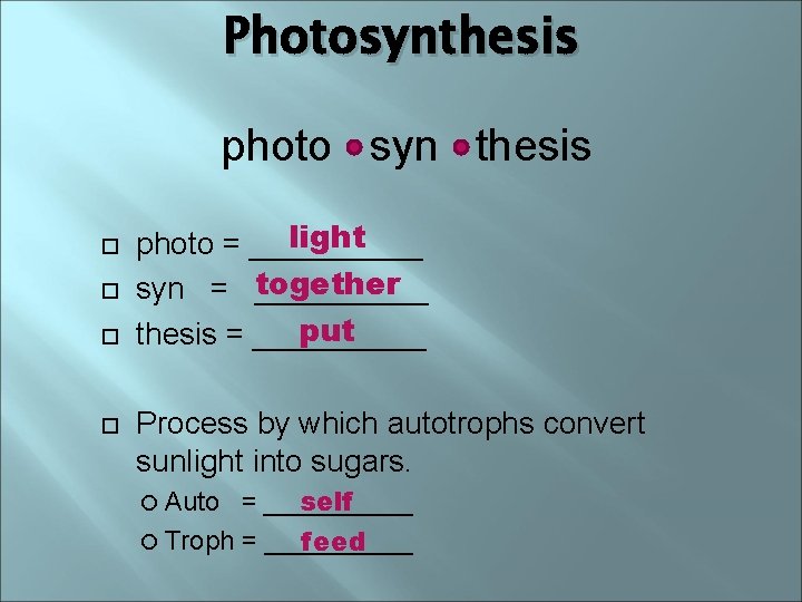 Photosynthesis photo syn thesis light photo = _____ syn = together _____ put thesis