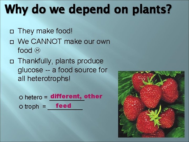 Why do we depend on plants? They make food! We CANNOT make our own