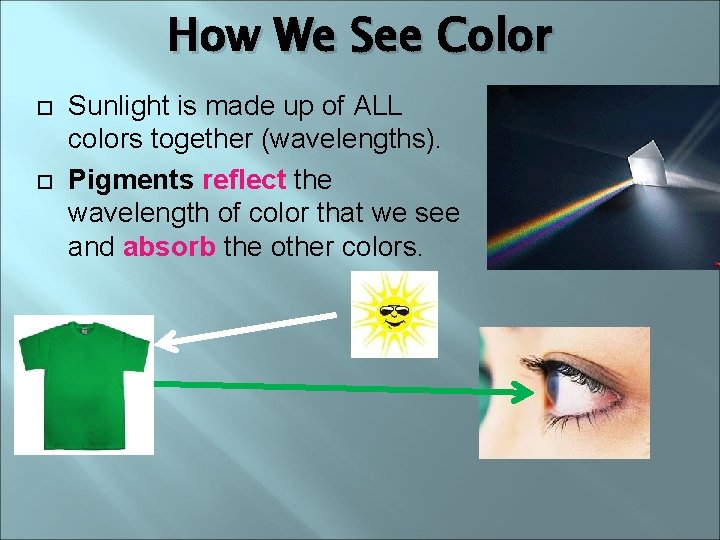 How We See Color Sunlight is made up of ALL colors together (wavelengths). Pigments