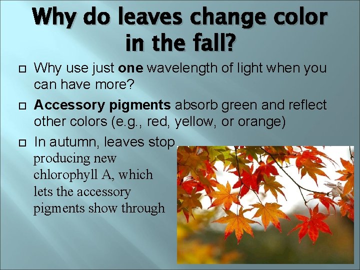 Why do leaves change color in the fall? Why use just one wavelength of