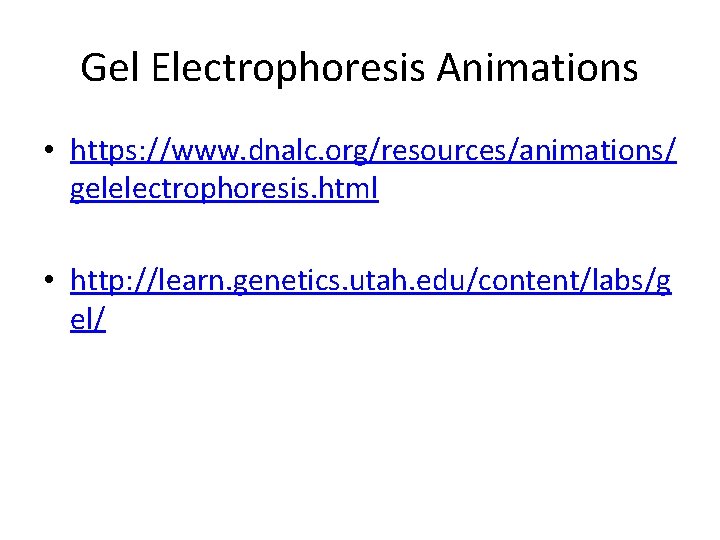 Gel Electrophoresis Animations • https: //www. dnalc. org/resources/animations/ gelelectrophoresis. html • http: //learn. genetics.