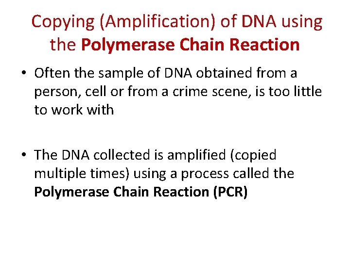 Copying (Amplification) of DNA using the Polymerase Chain Reaction • Often the sample of