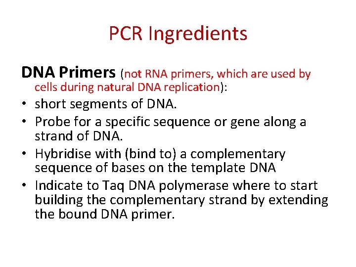 PCR Ingredients DNA Primers (not RNA primers, which are used by cells during natural