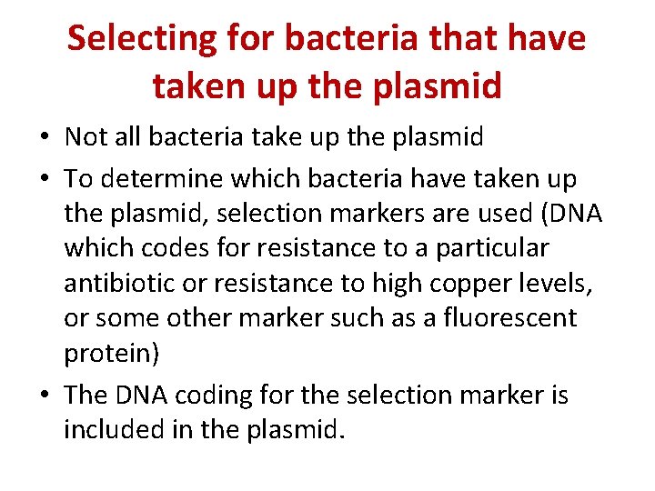 Selecting for bacteria that have taken up the plasmid • Not all bacteria take