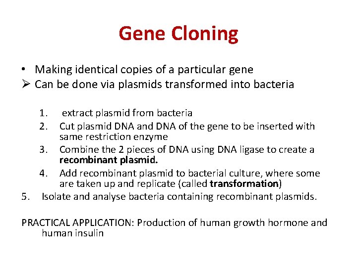 Gene Cloning • Making identical copies of a particular gene Ø Can be done