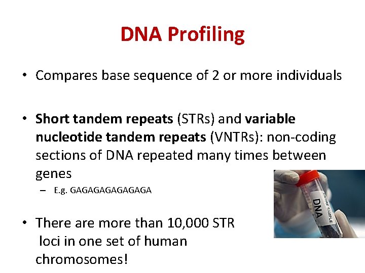 DNA Profiling • Compares base sequence of 2 or more individuals • Short tandem