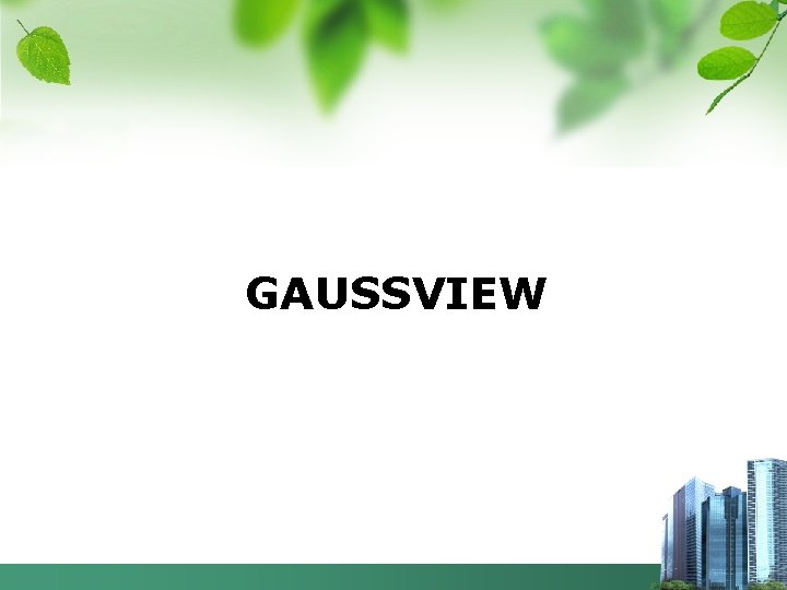 GAUSSVIEW 