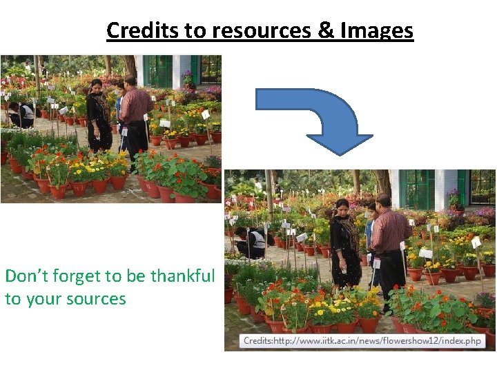 Credits to resources & Images Don’t forget to be thankful to your sources 