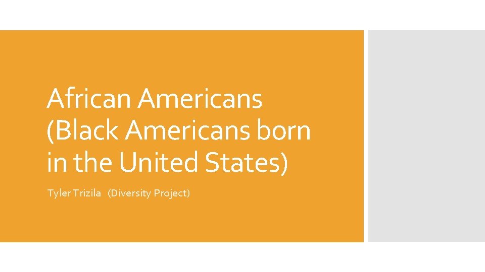 African Americans (Black Americans born in the United States) Tyler Trizila (Diversity Project) 