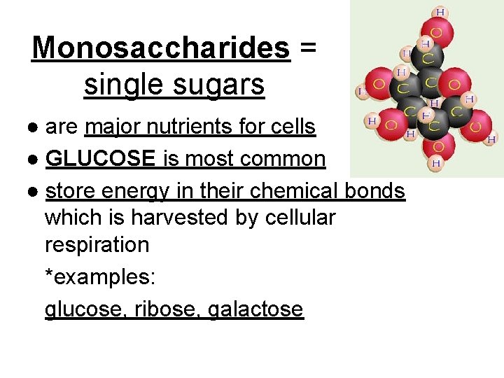 Monosaccharides = single sugars ● are major nutrients for cells ● GLUCOSE is most