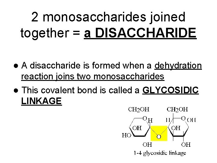 2 monosaccharides joined together = a DISACCHARIDE ● A disaccharide is formed when a