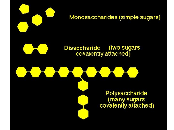 Disaccharide 