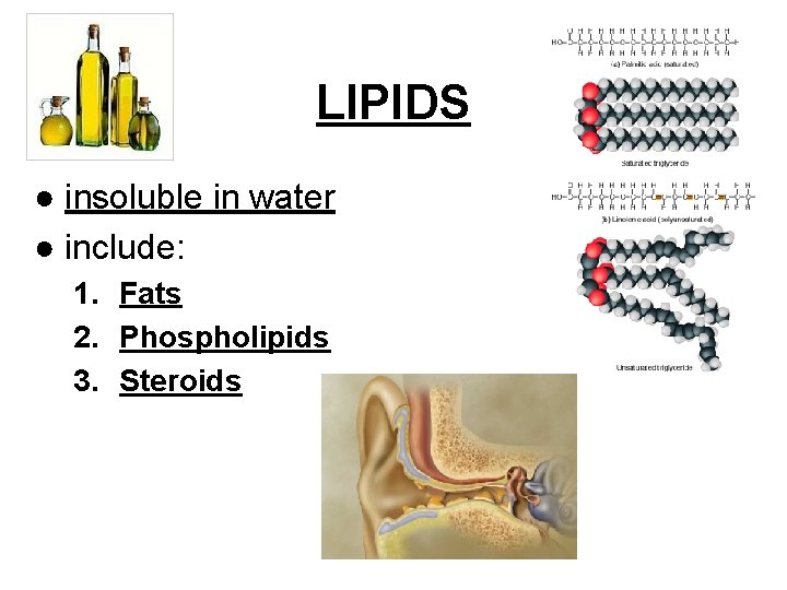 LIPIDS ● insoluble in water ● include: 1. Fats 2. Phospholipids 3. Steroids 