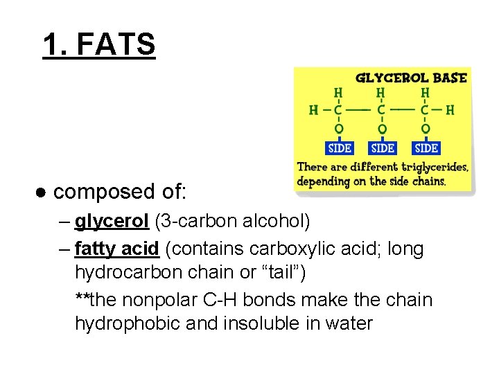 1. FATS ● composed of: – glycerol (3 -carbon alcohol) – fatty acid (contains