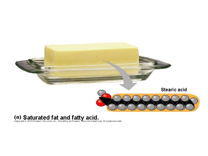 Stearic acid Saturated fat and fatty acid. 