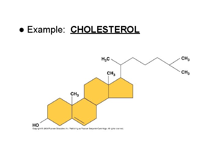 ● Example: CHOLESTEROL 